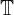  \mathbb{T} 