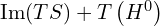  \mathrm{Im} (TS) + T \left( H^0 \right) 