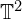  \mathbb{T}^2 